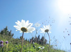 株式会社エコ・クリーンヒラタ