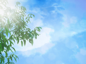 株式会社エコ・クリーンヒラタ