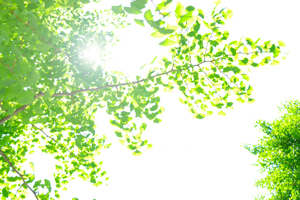 株式会社エコ・クリーンヒラタ